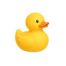 A rubber duck supervising the loading screen